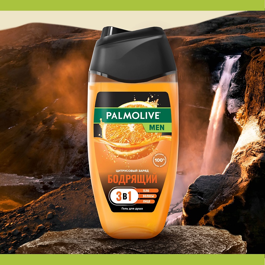 Palmolive (Палмолив) гель для душа 250мл Муж. 3в1 Цитрусовый Заряд
